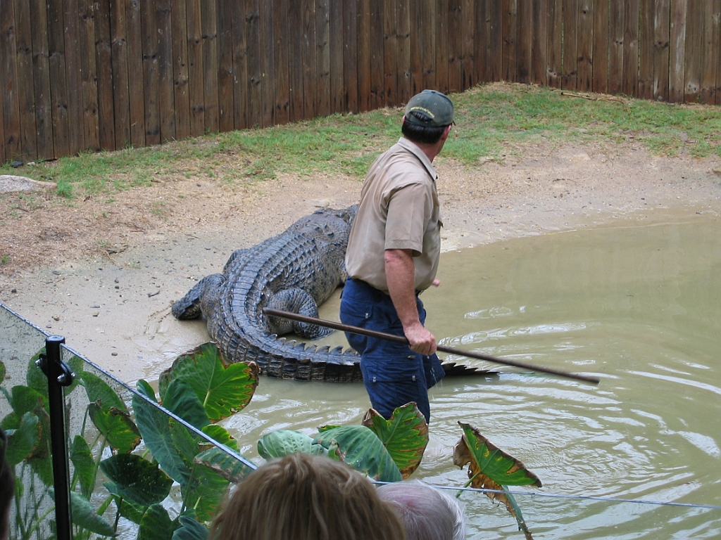 223 Hartley's Crocodile Farm.jpg